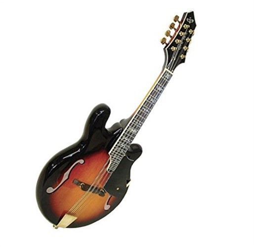 Gold Tone Rigel Electric Mandolin