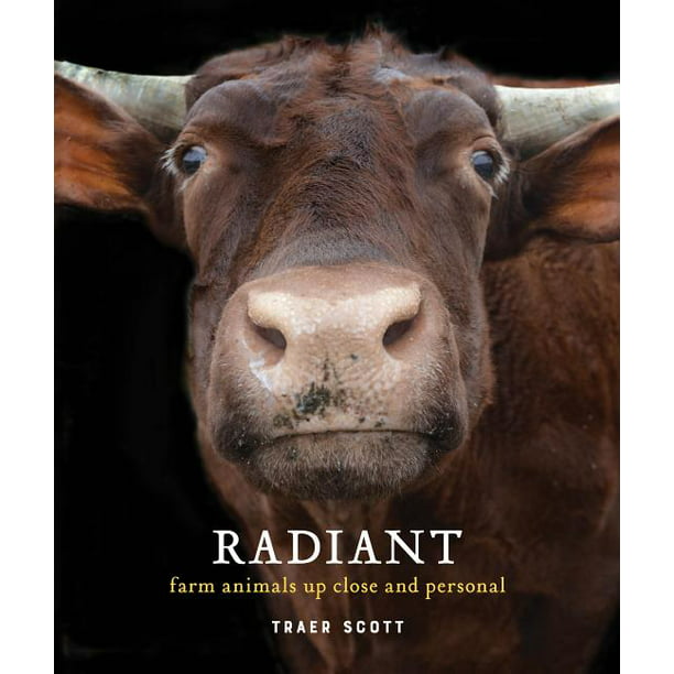 Radiant : Farm Animals Up Close and Personal (Farm Animal Photography Book)  (Hardcover) 