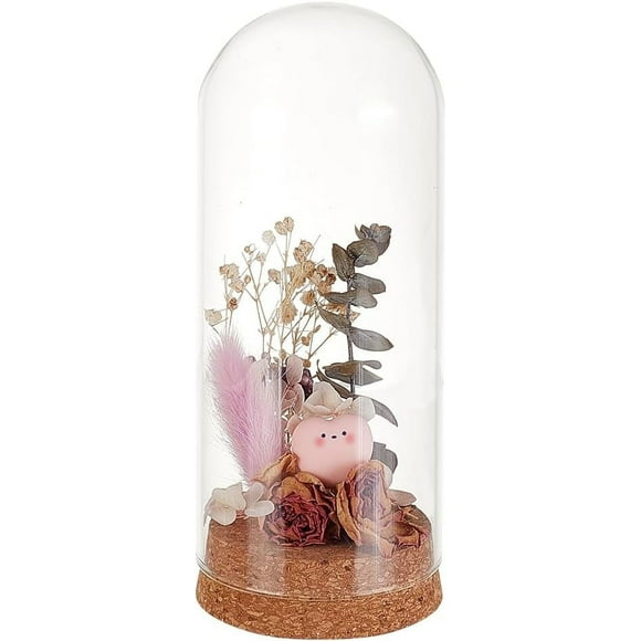 1 Pc Glass Display Dome Cloche 2.56x6.02 Inch Cloche Bell Jar Terrarium with Cork Base Decorative Display Dome Case for Plants Flower Christmas Display Decoration Clear
