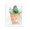 Southwestern Cactus Vase Succulent Planter, variant on Stupell Industries Bohemian Cactus & Succulent Vase Black Framed Giclee Art, 11 x 14, by Carol Robinson