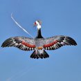 thumbnail image 4 of TheFound Mini Kite, Colorful Parrot Butterfly Bird Kite Beach Kite with Rod for Outdoor Park, 4 of 7