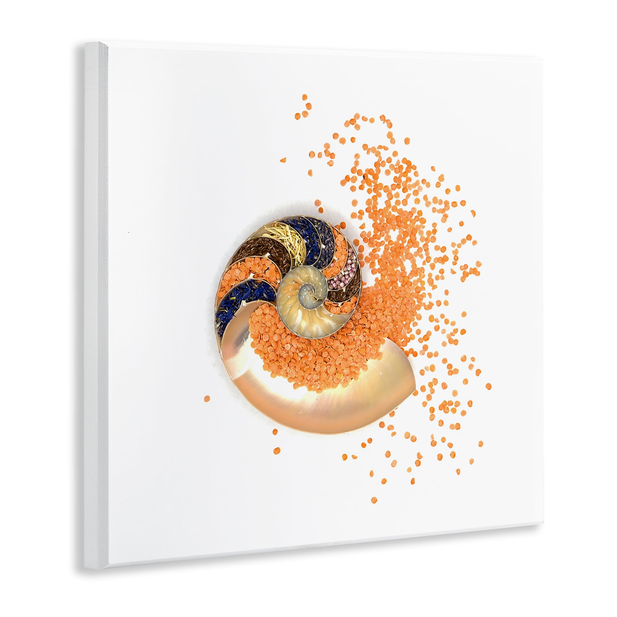 Stupell Industries Orange Nautilus Spiral Wall Plaque Art, design by Beth Adoette