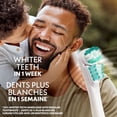 thumbnail image 2 of Spinbrush PRO WHITEN Battery Powered Electric Toothbrush for Adults, Soft Bristles, 2 of 6