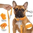 thumbnail image 3 of Correa para perro Wisedog, impermeable, estándar, 1,5 m/1,8 m de longitud, Daylily, 3 of 6