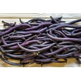 thumbnail image 4 of 100 Vegetable Seeds -Royal Purple Pod Bush Bean Seed, 4 of 7