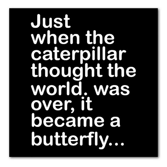DistinctInk Custom Bumper Sticker - 8" x 8" Decorative Decal - Black Background - Caterpillar Though World Was Over Butterfly