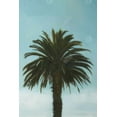 thumbnail image 3 of Palmier Tropical - Toile 24"x36 Pouces - Impression à la Demande, 3 of 5