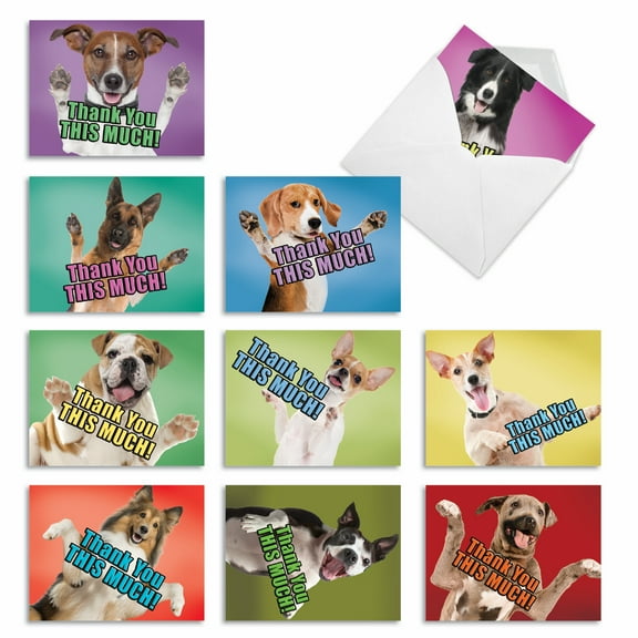 10 Bulk Thank You Cards with Envelopes (4 x 5.12 Inch) - DOG BIG THANKS