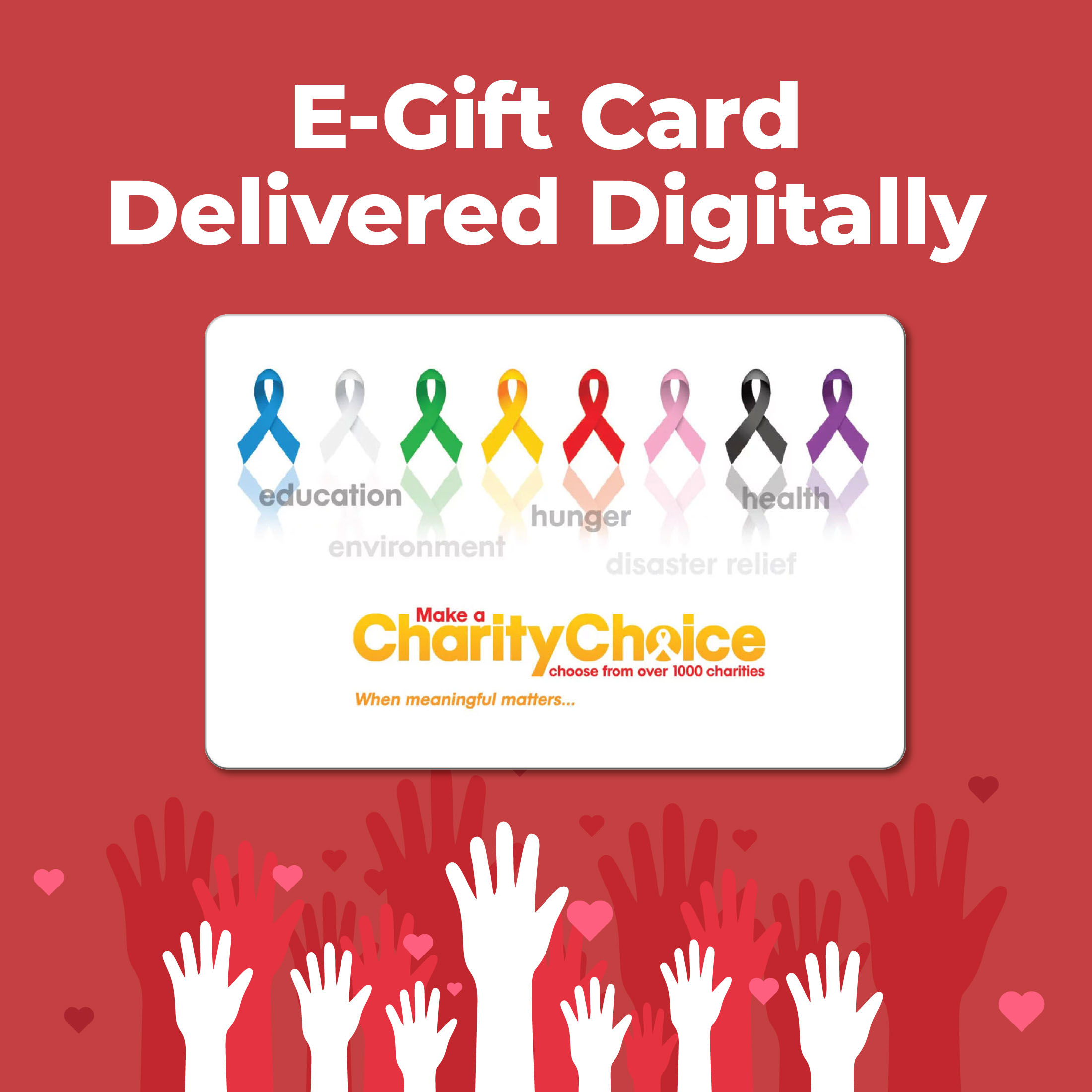 Charity Choice $100 eGift Card [Email Delivery]