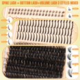 thumbnail image 3 of Kit de extensiones de pestañas Focipeysa Lash Clusters Spike Wispy, 3 of 9