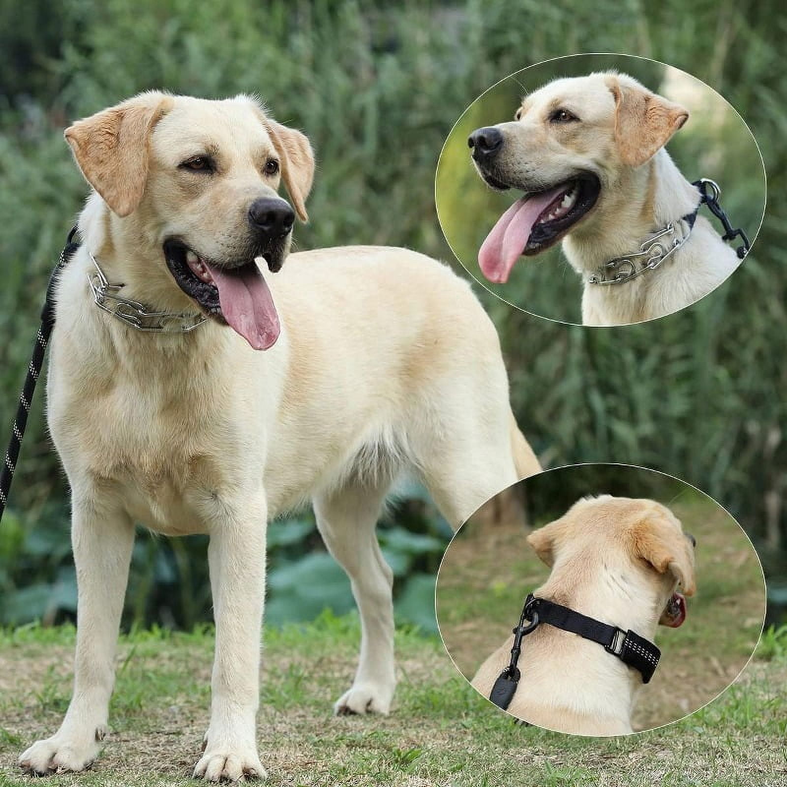 No Pull Dog Collar, Prong Collar for Small Medium Large Dogs, Pinch Collar for Dogs with Quick Release Buckle, Prong Collar Cover, Extra Links, Safety Clip, Rubber Tips