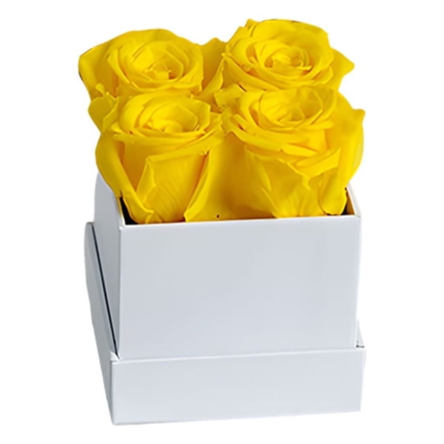 Ramo de flor eterna de Rosa preservada Inteprter 4 cabezas Multicolor