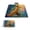 The Fox In The Magical Forest, variant on Square Picnic Mat Waterproof Non-Slip Outdoor Mat Portable Carry Handle For Camping Beach Exercise in The Magical Forest