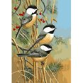 thumbnail image 1 of Pintura de diamante (DE6721) 5D DIY Little Bird Square Rhinestone Kits de mosaico 40x50cm Hugtrwg Para estrenar, 1 of 1