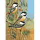 thumbnail image 1 of Pintura de diamante (DE6721) 5D DIY Little Bird Square Rhinestone Kits de mosaico 40x50cm Hugtrwg Para estrenar, 1 of 1