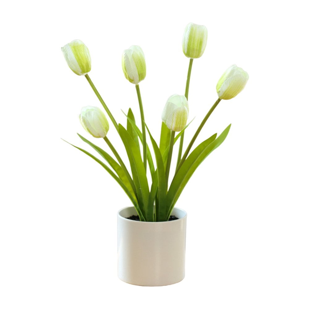 TULIPページ Tasc Flower Bulbs- Tulip Lily and Triumph Assorted -20 bulbs