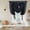 Blue Black, variant on Navy Blue Celestial Balloon Curtains for Windows, Bedroom Curtains 54 Inch Length, Mythical Sun Face Planet Universe Tie Up Curtains Panels Thermal Insulated Bathroom Curtains Window 42"x54"