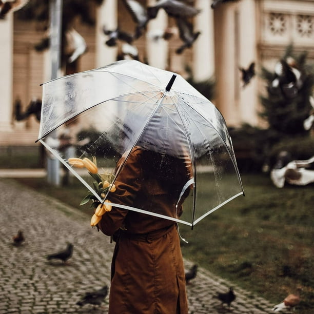 Large online women's umbrella
