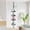 Black, variant on Corner Shower Caddy Tension Pole - 4 Tier Rustproof Adjustable Standing Shelves for Bathtub Shampoo Accessories Storage 39 to 113 Inch - White