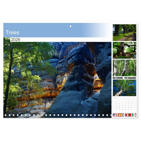Trees (Monthly Wall Calendar 2026 11.7 x 16.5 (open)), CALVENDO 14 Month Calendar