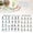 White, variant on Tai Chi Chair Workout Chart for Seniors – 30 Day Exercise & Walking Program Poster, Seated Calisthenics Routine for Balance, Mobility & Home Fitness (Women)