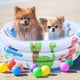 thumbnail image 3 of Piscina inflable redonda para niños pequeños, piscina inflable portátil para niños, pequeña bomba, piscina de dinosaurios de dibujos animados, interior y exterior para niños, 3 of 8