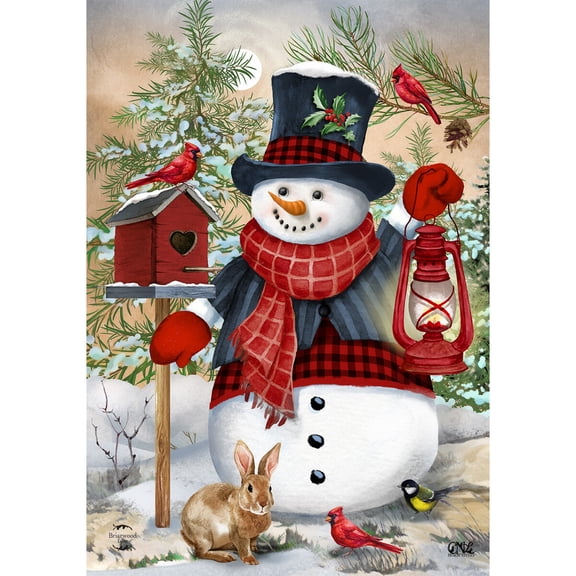 Briarwood Lane Winter Garden Flag 12x18 For Outdoor Snowman and Friends For Winter Garden Flag Flags For Outside