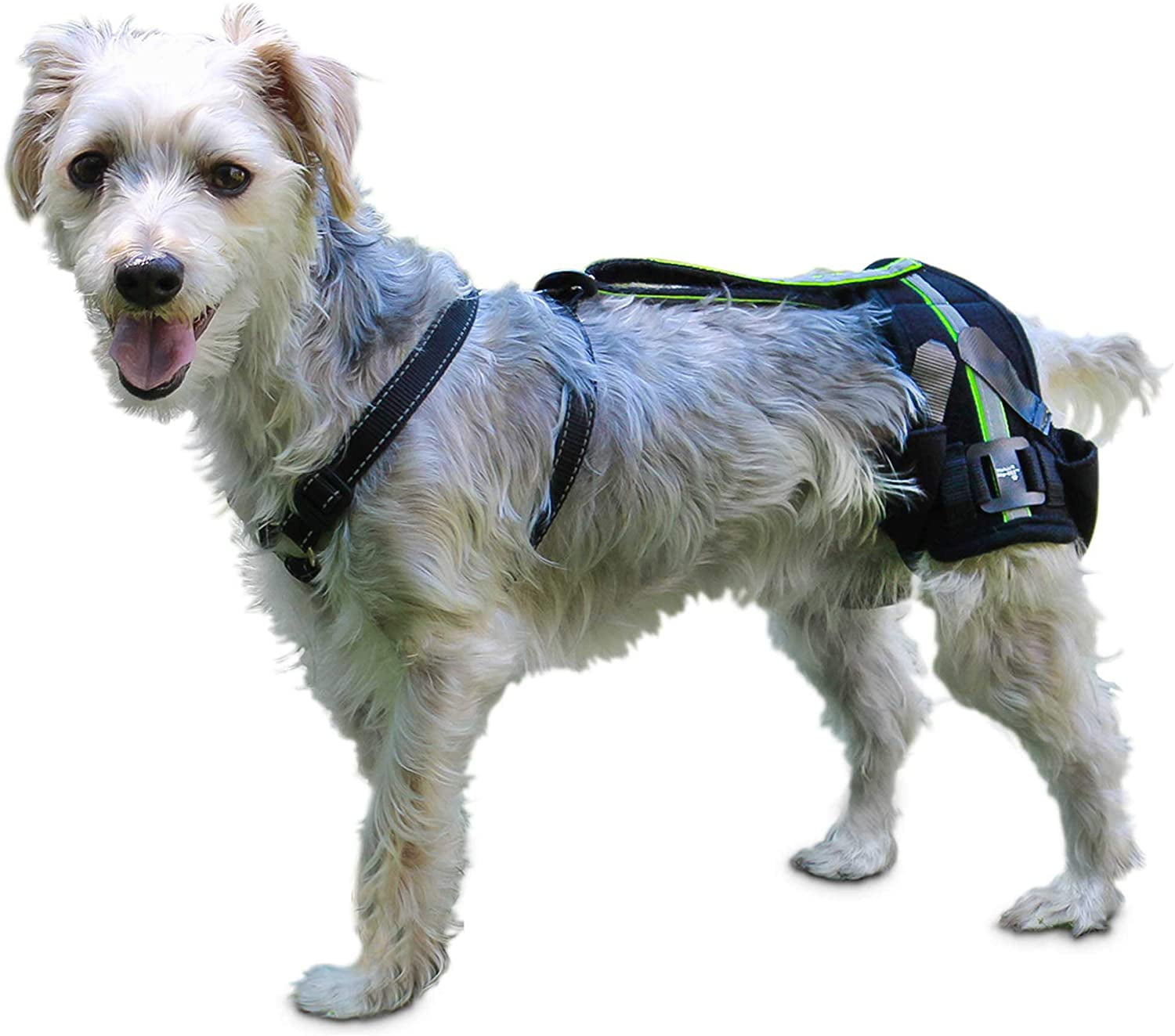 Walkin' HipEEZ Dog Hip Brace Joint Support Harness