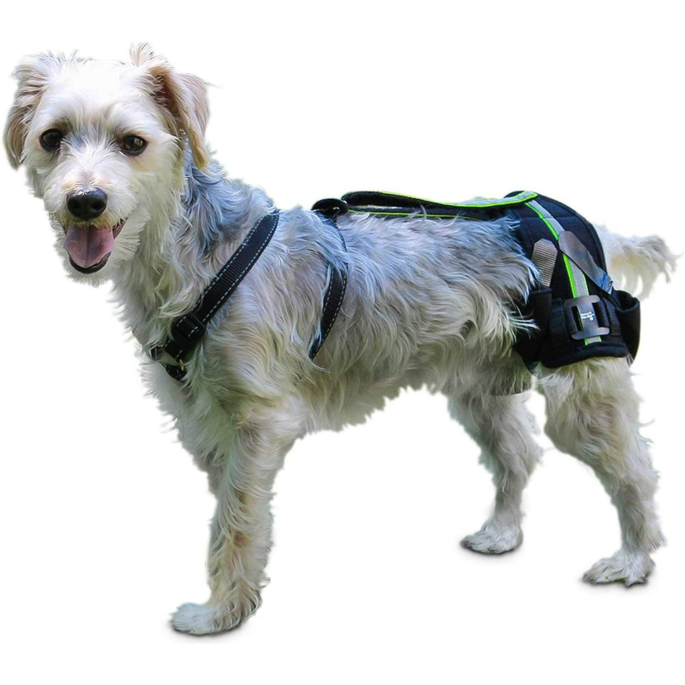 HipEEZ Dog Hip Brace Support Harness System Provides Joint Support