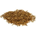 thumbnail image 4 of Zilla Reptile Munchies Mealworms Reptile Food .5 Oz. (Pack of 1), 4 of 10