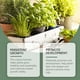 thumbnail image 5 of Polvo enraizante para plantas | Catalizador de hormona enraizante | Nutrientes de nitrógeno, fósforo y potasio para plantas | Mejora el crecimiento y la resistencia al estrés | 1 paquete de, 5 of 9