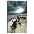 thumbnail image 2 of Skeleton Coast Parc National - Impression sur Toile Paysage, 2 of 3