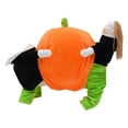 thumbnail image 4 of COMPUKAS Pumpkin Costume Dog  Clothes Carrying Design 1Pack Multi Cotton, 4 of 8