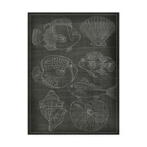 Trademark Fine Art 'Sea Chart I' Canvas Art by Chariklia Zarris