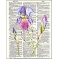 thumbnail image 2 of Iris Watercolor - Dictionary Art Print Printed On Authentic Vintage Dictionary Book Page - 8 x 10.5, 2 of 3