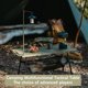 thumbnail image 3 of Mesa Naturehike IGT para acampar, mesa táctica multifuncional, escritorio de altura ajustable, mesa plegable de cocina, barbacoa, Picnic, Starjane H02, 3 of 4