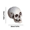 thumbnail image 3 of Realistic Skeleton Skulls for Halloween, Spooky Plastic Human Skull for Halloween Home Table Decorations, 3 of 5