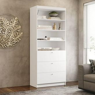 Sauder HomePlus 2-Door Storage Cabinet, Raven Oak Finish - Walmart.com