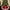 B, variant on RKSTN Christmas Tree Skirt 36" Christmas Tree Collar Christmas Decorations Red Xmas Tree Ornaments for Birthday Holiday Party Christmas Festival Indoor on Clearance