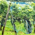 thumbnail image 4 of jesticaly Garden Plant Mesh Netting Fruit Tree Protector Anti-insect Pest Trimmable Guard Planting Agricultural Net Insect for Park, 4 of 6