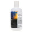 thumbnail image 3 of IGK 30,000 Feet Volume Shampoo 8 oz, 3 of 8