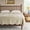 Beige, variant on The Pioneer Woman Eloise Floral Velvet Quilt, Full/Queen, Blue Dust Bedding