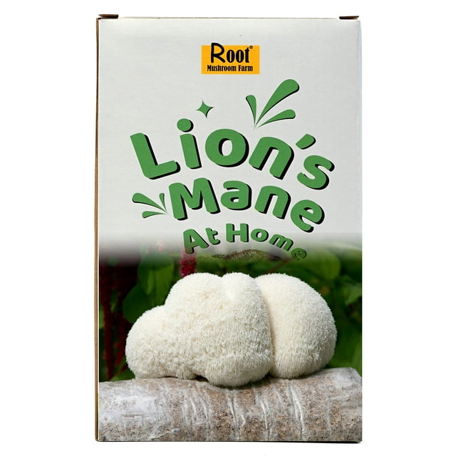 Lion's Mane Grow Kit (one kit), 3.2 Pound Log