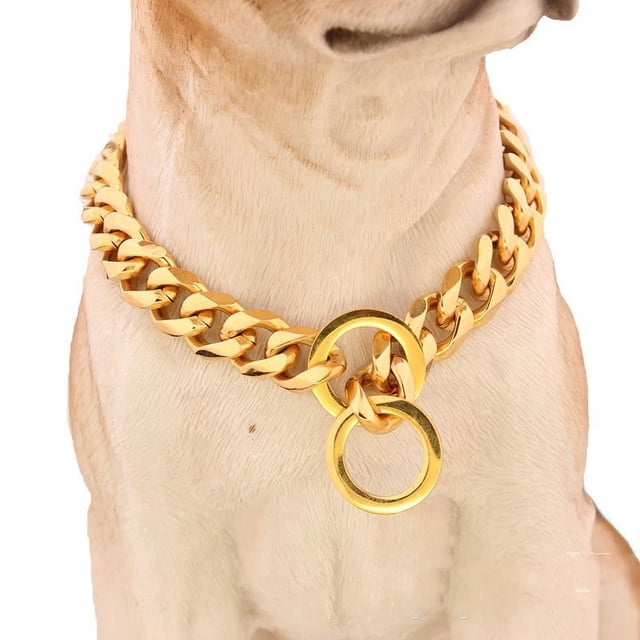 Gold Dog Collar Chain with Steel Buckle Width Stainless Steel Cuban Link Slip Chain Training Collar Necklace for Large(Gold 30”)
