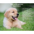 thumbnail image 3 of Dog Shampoo for Sensitive Skin, Calming Itch Relief, Gentle Cleanser, 16 oz., 3 of 5