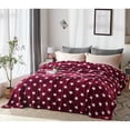thumbnail image 5 of JML Luxuriously Velvety Plush Blanket Soft Lightweight Blanket Gray Clover Queen, 5 of 5