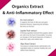 thumbnail image 4 of Mascarilla facial Lululun Over 45 Hidratante Camelia Pink 32EA, 4 of 9