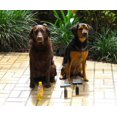 thumbnail image 4 of Aqua Comb Cepillo para banar perro. Se acopla a manguera. Perros con pelo corto, mediano y largo, gr Aqua Comb 1, 4 of 4
