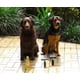 thumbnail image 4 of Aqua Comb Cepillo para banar perro. Se acopla a manguera. Perros con pelo corto, mediano y largo, gr Aqua Comb 1, 4 of 4