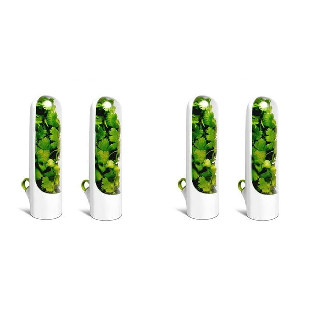Caja de Cápsulas de 4 Piezas Caja de Mantenimiento Fresco Tipo de Contenedor de Almacenamiento de Alimentos Conservación de Vegetales para Eneldo Cilantro